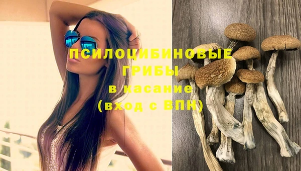 соль курить ск Армянск
