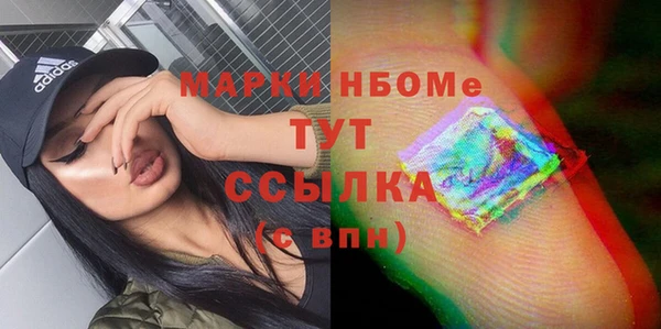 прущие грибы Покачи