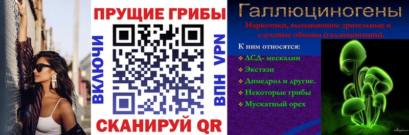 Купить  Кяхта  Псилоцибиновые грибы MAGIC MUSHROOMS 